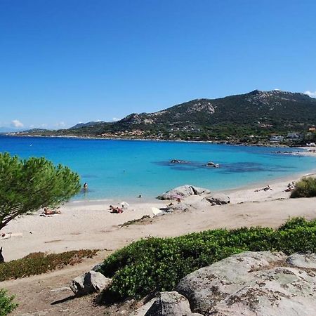 L'Orangeraie Calvi Centre A 300M De La Plage Et Du Port Parking Prive Ngoại thất bức ảnh