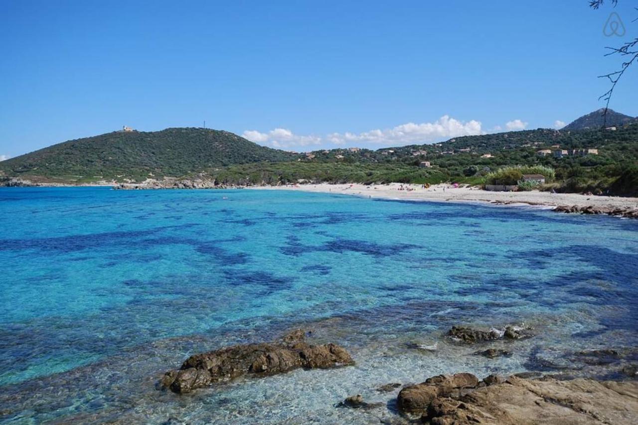 L'Orangeraie Calvi Centre A 300M De La Plage Et Du Port Parking Prive Ngoại thất bức ảnh