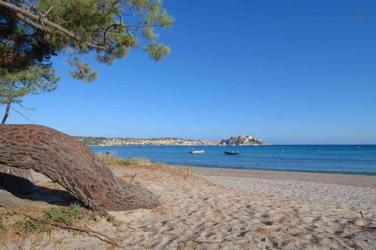 L'Orangeraie Calvi Centre A 300M De La Plage Et Du Port Parking Prive Ngoại thất bức ảnh